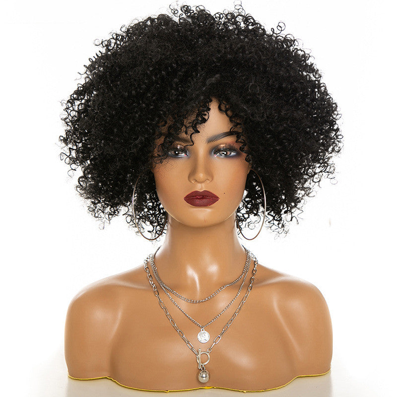 High-Temperature Afro Kinky Curly Hair Wig
