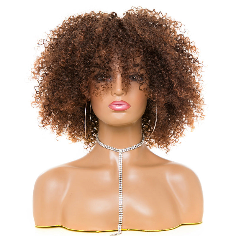 High-Temperature Afro Kinky Curly Hair Wig